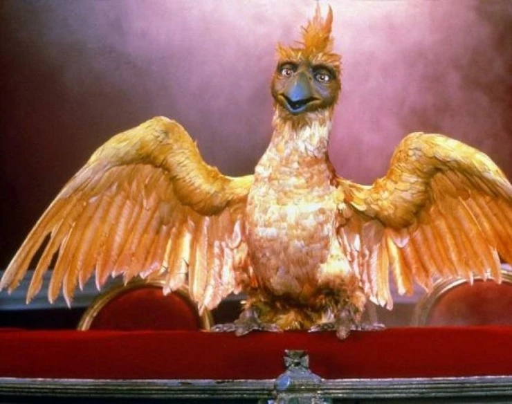 Феникс и волшебный ковер (1995) через торрент скачать Феникс и волшебный ковер (1995) фильм через торрент скачать