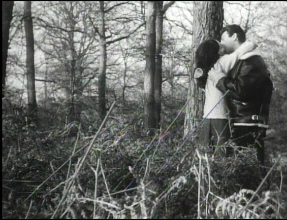 Милашки (1960) через торрент бесплатно Милашки (1960) фильм через торрент бесплатно