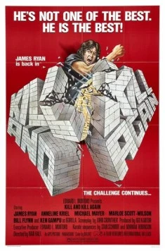 Убить дважды / Kill and Kill Again (1981) фильм скачать через торрент в хорошем качестве